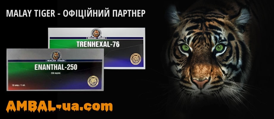 slide https://www.ambal-ua.com/wp-content/uploads/2023/06/baner-2-min.jpg